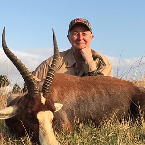 Hunting Blesbok South Africa