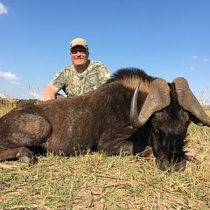 Hunt Black Wildebeest South Africa