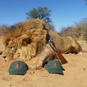 Hunting Lion in South Africa