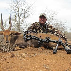 Bushbuck Bow Hunting South Africa