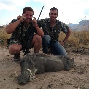 South Africa Warthog Hunt