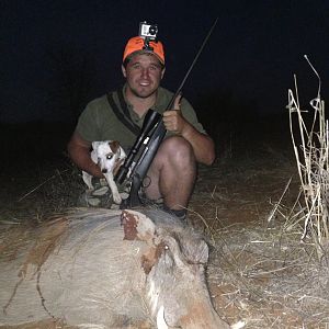 South Africa Warthog Hunt