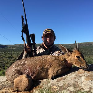 Duiker Hunting South Africa