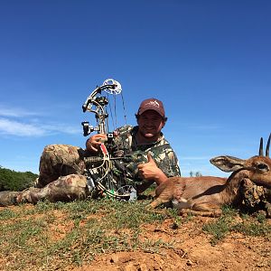 South Africa Steenbok Bow Hunting