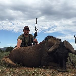 Hunt Black Wildebeest South Africa