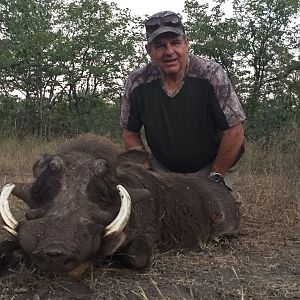 Zimbabwe Warthog Hunt