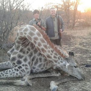 Giraffe Zimbabwe Hunting