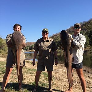 Fishing Zimbabwe Catfish