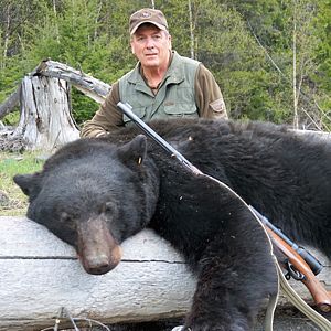 Big British Columbia Black bear