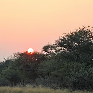 Sunrise on African Safari