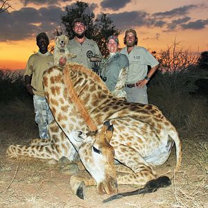 South Africa Giraffe Bow Hunting