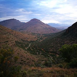 South Africa Hunting