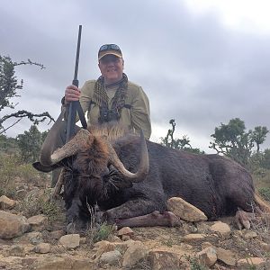 Hunt Black Wildebeest South Africa