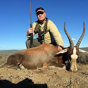 Hunting Blesbok South Africa