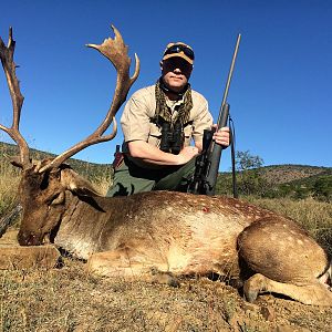 Fallow Deer South Africa Hunt