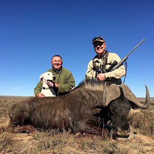 Hunt Black Wildebeest South Africa