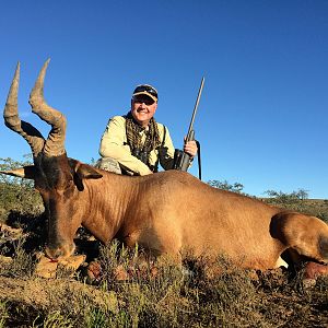 Red Hartebeest Hunt South Africa