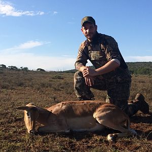 Cull Hunting Impala Ewe South Africa