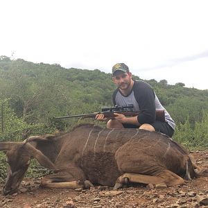 South Africa Kudu Cow Cull Hunt