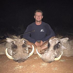 South Africa Warthog Hunt