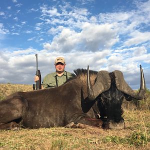 Hunt Black Wildebeest South Africa