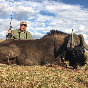 Hunt Black Wildebeest South Africa