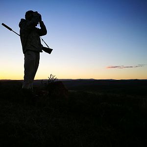 Glassing Game South Africa