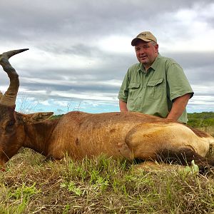 Red Hartebeest Hunt South Africa