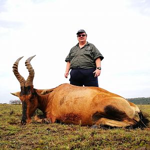 Red Hartebeest Hunt South Africa