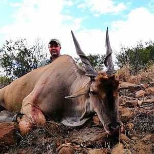 South Africa Hunting Eland