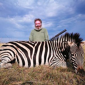 South Africa Burchell's Plain Zebra Hunting