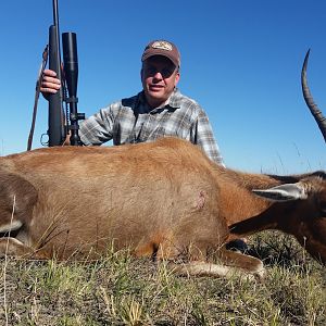 Hunting Blesbok South Africa