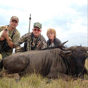 South Africa Blue Wildebeest Hunting