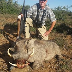 South Africa Warthog Hunt