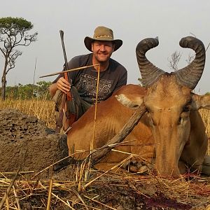 Hunt Lichtenstein's  Hartebeest