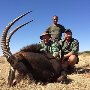 South Africa Sable Antelope Hunt