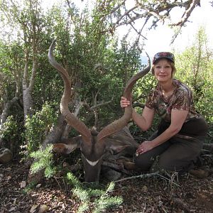 Kudu Hunt in South Africa