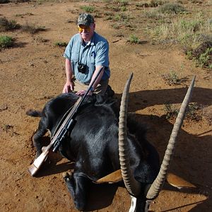 Hunting Sable Antelope South Africa