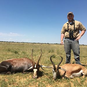 South Africa Blesbok & Springbok Hunt