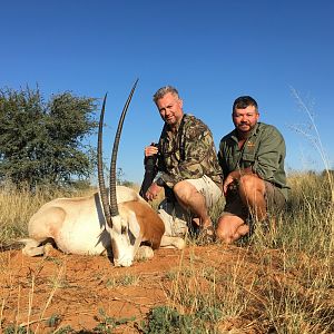 Scimitar Oryx Hunt South Africa