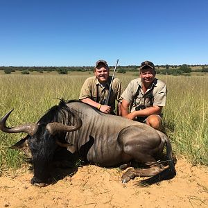 Blue Wildebeest Hunting in South Africa