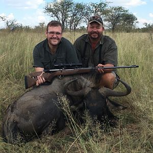 Blue Wildebeest Hunting in South Africa