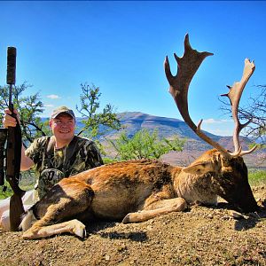 Hunting Fallow Deer South Africa