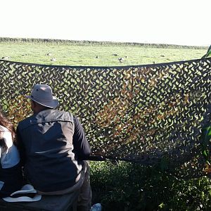 South Africa Bird Hunting