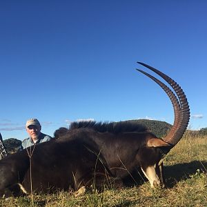 Hunt Sable South Africa