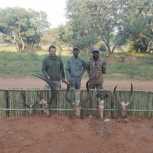 Trophies Hunting South Africa