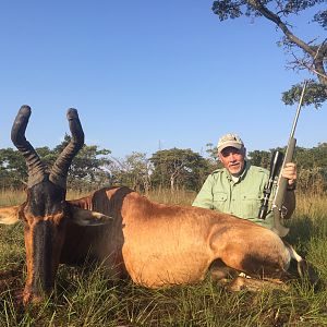 Red Hartebeest Hunting in South Africa