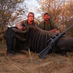 Blue Wildebeest Hunting in South Africa