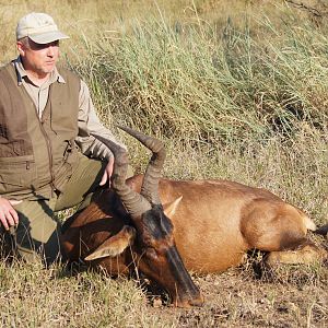 Red Hartebeest Hunting in South Africa