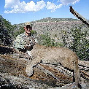 Hunting Mountain Lion